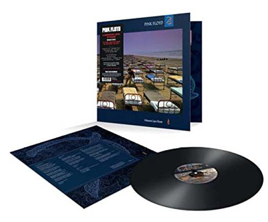 Pink Floyd A Momentary Lapse Of Reason Vinyl LP 2017