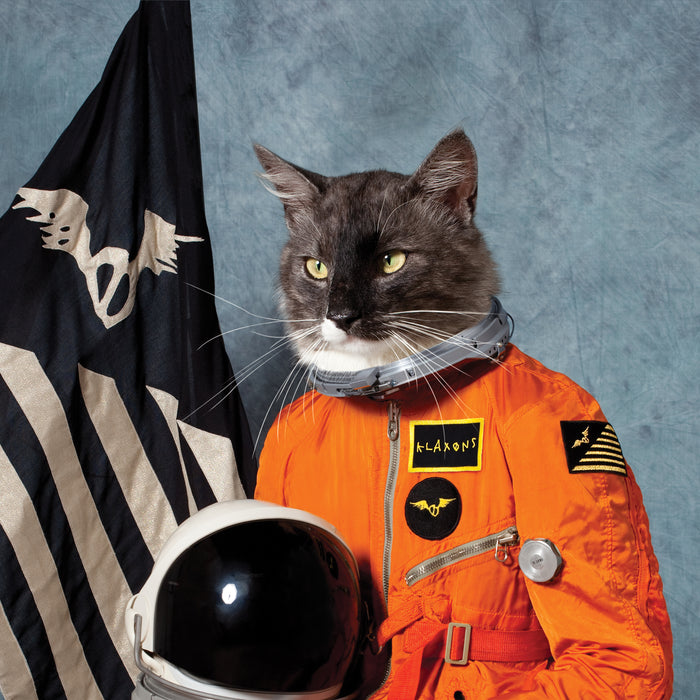 Klaxons Surfing The Void Vinyl LP Orange Colour RSD 2020