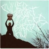 PULLED APART BY HORSES TO PULLED APART BY HORSES LP VINYL NEW