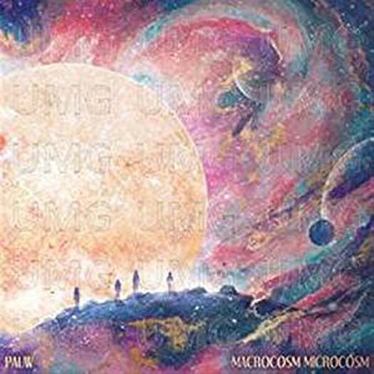 PAUW MACROCOSM MICROCOSM LP Vinyl NEW