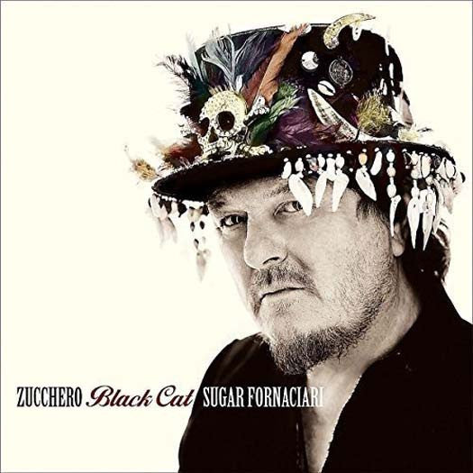 ZUCCHERO BLACK CAT LP VINYL NEW