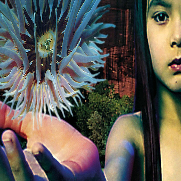Future Sound of London Lifeforms Vinyl LP 2018