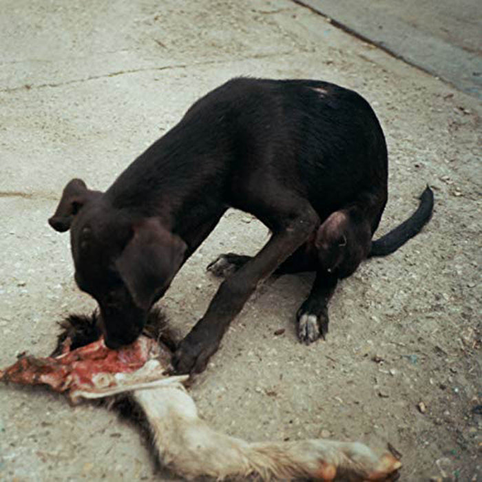 slowthai Runt Indies Only 12" Vinyl EP New 2018