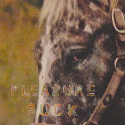 SPIRIT OF THE BEEHIVE Pleasure Suck LP Vinyl NEW 2017