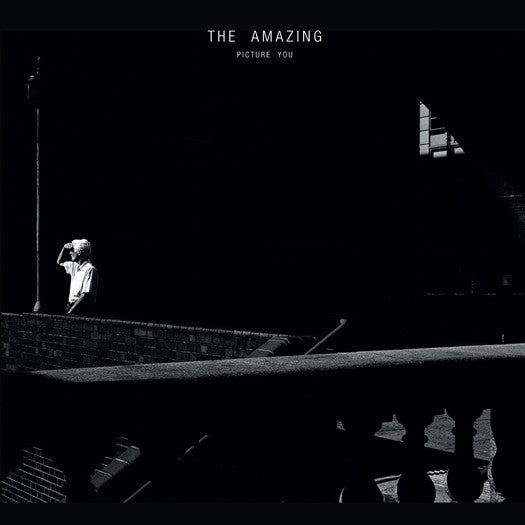 AMAZING PICTURE YOU LP VINYL NEW (US) 33RPM