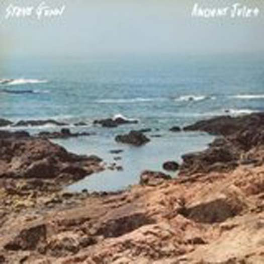 Steve Gunn Ancient Jules Vinyl LP 2016
