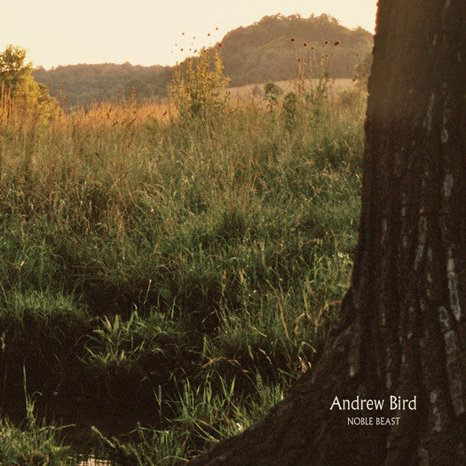 ANDREW BIRD NOBLE BEAST LP VINYL NEW (US) 33RPM
