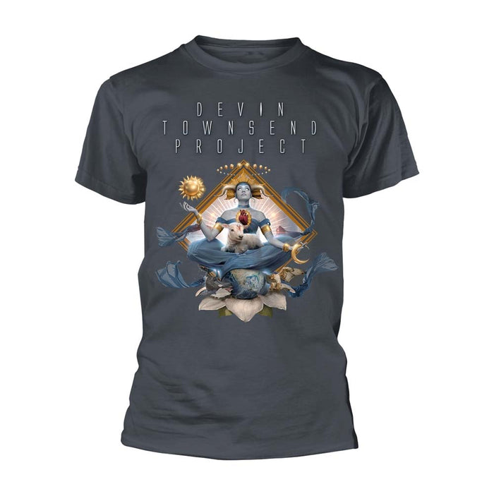 DEVIN TOWNSEND Lower Mid Tier Prog Metal MENS Grey SMALL T-Shirt NEW