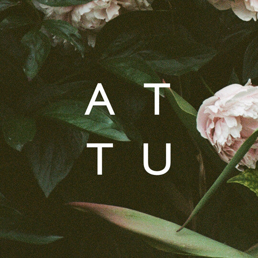 ATTU WE ARE ORDINARY PEOPLE 2014 EP LP VINYL 33RPM NEW