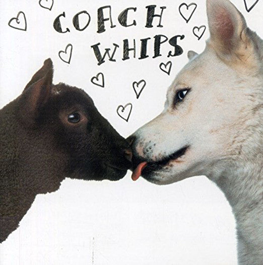 COACHWHIPS BANGERS VS. FUCKERS LP VINYL NEW (US) 33RPM