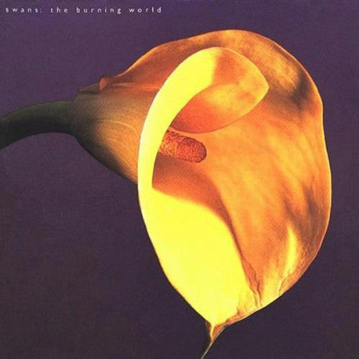 SWANS BURNING WORLD LP VINYL NEW (US) 33RPM