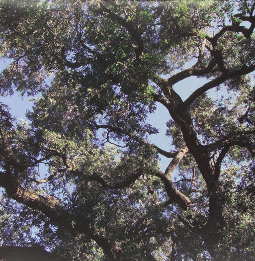 CHARLES MANSON TREES LP VINYL NEW 33RPM