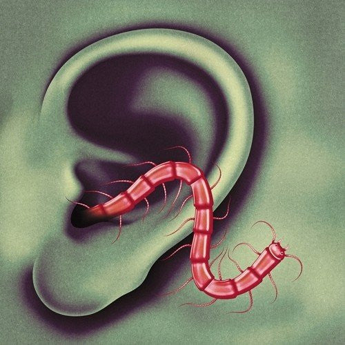 Thee Oh Sees An Odd Entrances Vinyl LP 2016