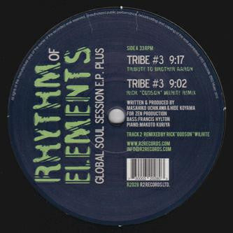 Rhythm of Elements Global Soul Session EP Electronic Music 12'' Single Vinyl New