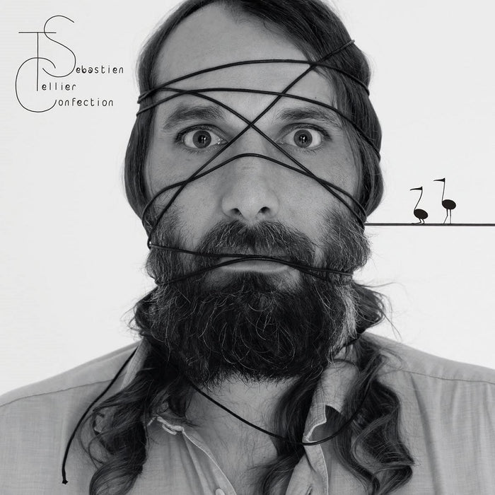 Sebastien Tellier Confection Vinyl LP 2013