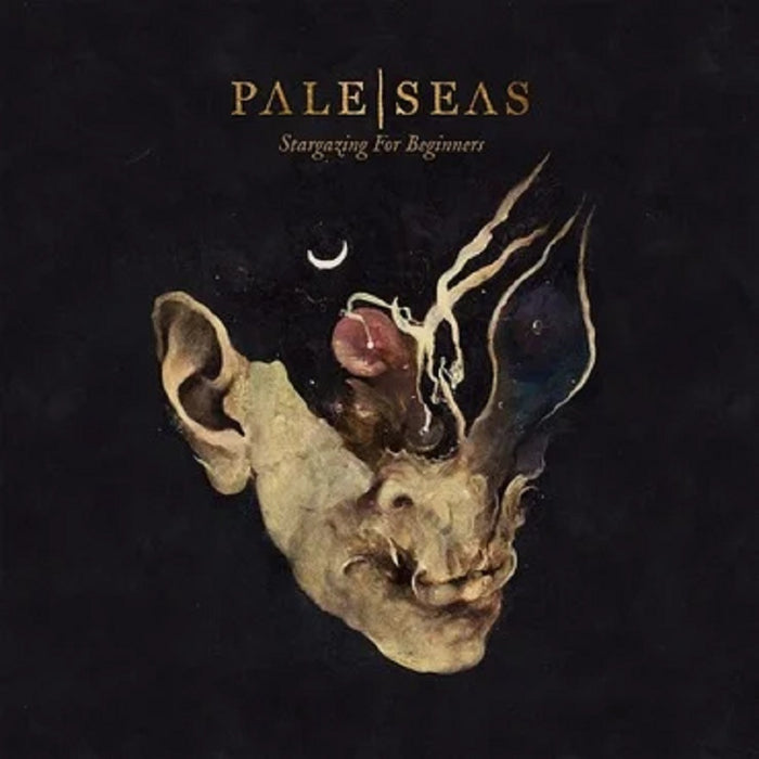 Pale Seas Stargazing For Beginners VINYL LP Indies Only 2017