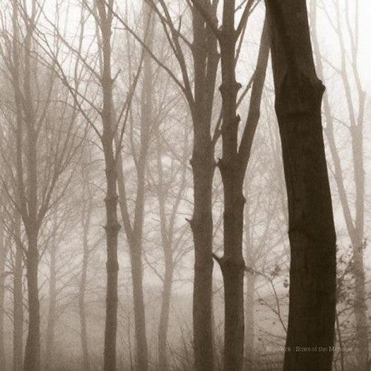 BLUENECK SCARS OF THE MIDWEST LP VINYL NEW (US) 33RPM