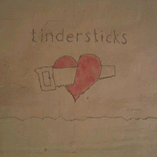TINDERSTICKS HUNGRY SAW 2008 DELUXE 180 GRAM 1 LP VINYL 33RPM ART NEW