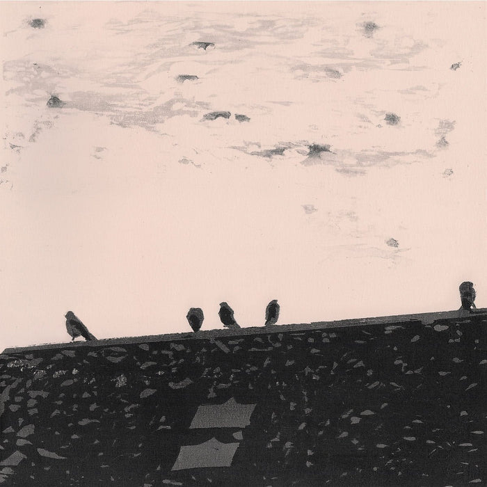 STUART A. STAPLES ARRHYTHMIA Vinyl LP 2018