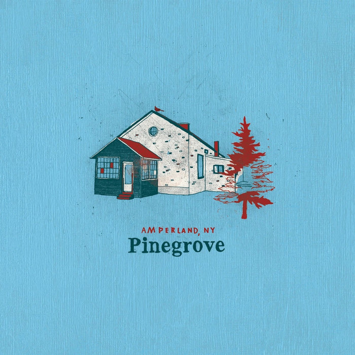 Pinegrove Amperland, NY Vinyl LP 2021