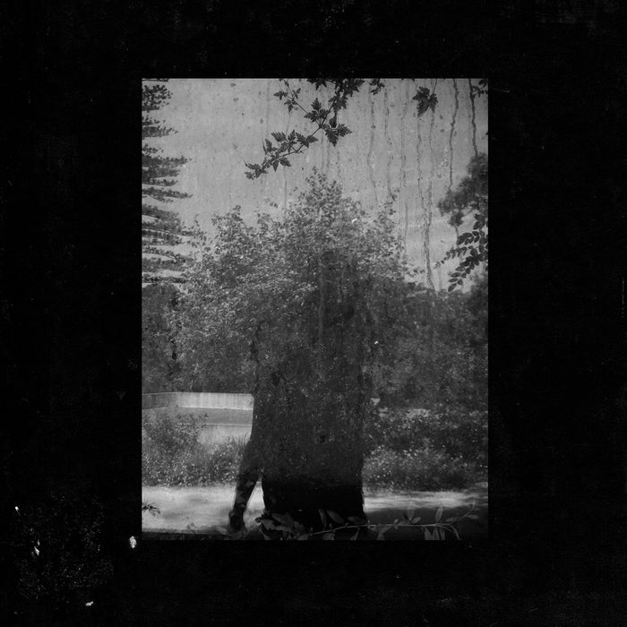 GROUPER RUINS LP VINYL NEW 33RPM 2014