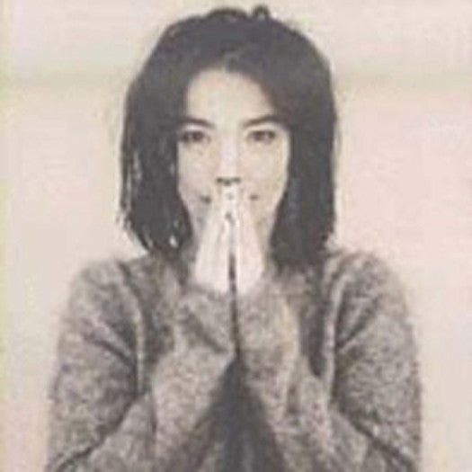 BJORK DEBUT LP VINYL NEW 33RPM 2007 LIMITED EDITION