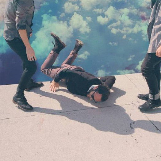 LOCAL NATIVES HUMMINGBIRD LP VINYL 33RPM 2013 NEW