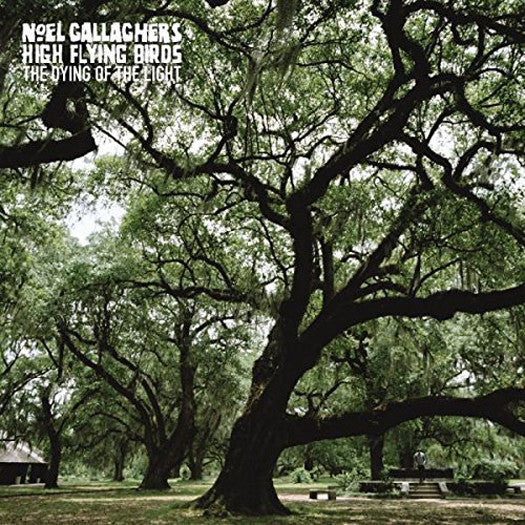 NOEL GALLAGHER'S HIGH FLYING BIRDS THE DYING OF THE LIGHT VINYL SINGLE NEW