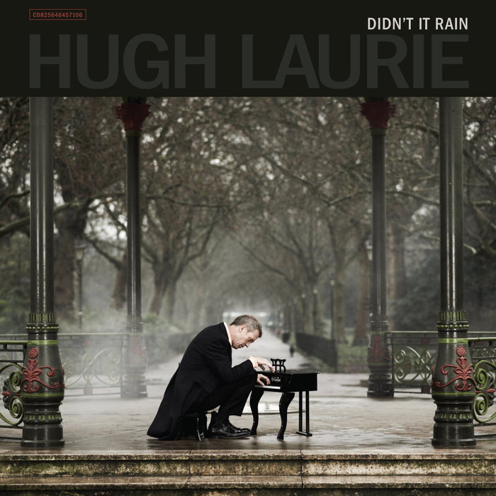 HUGH LAURIE DIDN'T IT RAIN LP VINYL 33RPM NEW 2LP