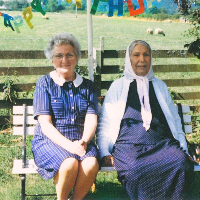 DAUWD Theory of Colours LP Vinyl NEW 2017