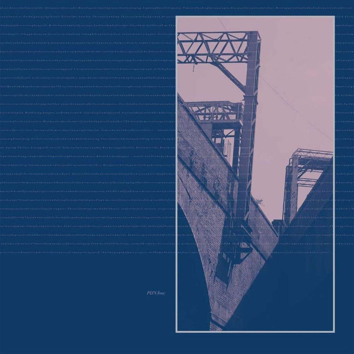 Pijn Loss Vinyl LP New 2018