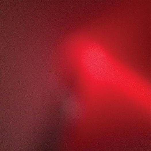 MEAT WAVE The Incessant Vinyl LP 2017