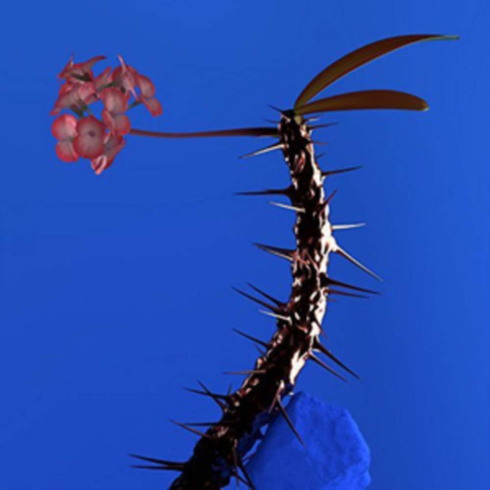 FLUME Skin Companion EP II 12" Vinyl EP NEW 2017