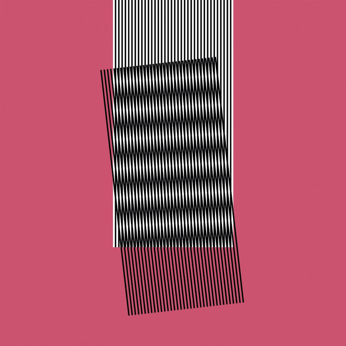 HOT CHIP WHY MAKE SENSE LP VINYL NEW 33RPM 2015