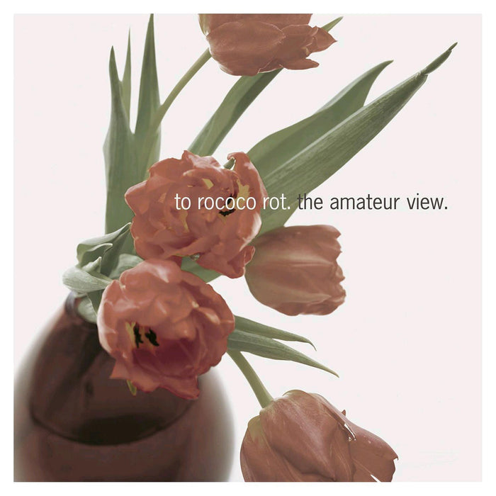 TO ROCOCO ROT THE AMATEUR VIEW REISSUE LP VINYL IDM A NEW
