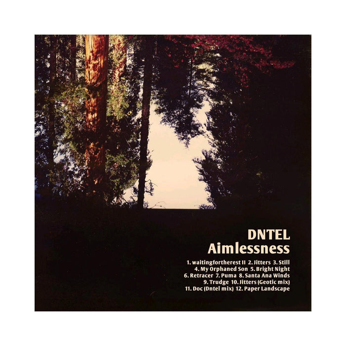 DNTEL AIMLESSNESS DOWNTEMPO TRONICA LP VINYL NEW 33RPM