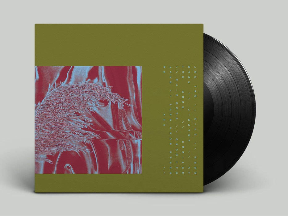 PARIAH Here From Where We Are Vinyl LP 2018