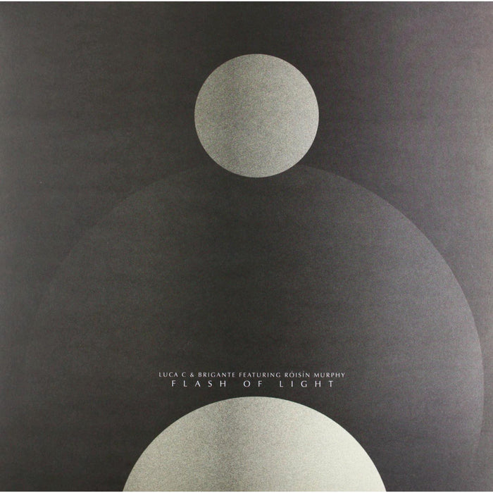 Luca C & Brigante Feat Roisin Murphy Flash Of Light House 12'' Single Vinyl New