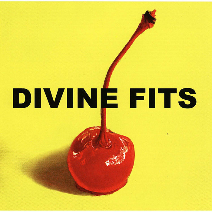 DIVINE FITS A THING CALLED DIVINE FITS ART LP VINYL AND CD NEW