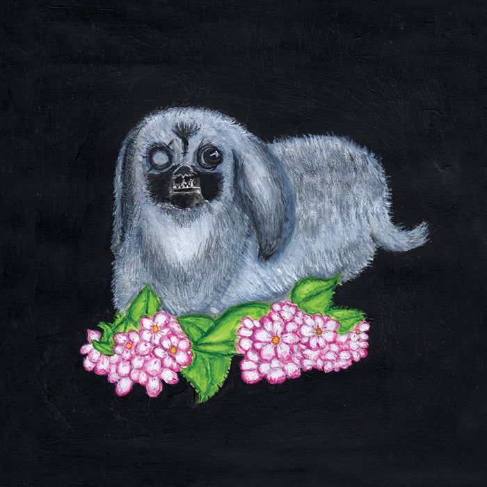 GUADALUPE PLATA 2017 Vinyl LP 2017
