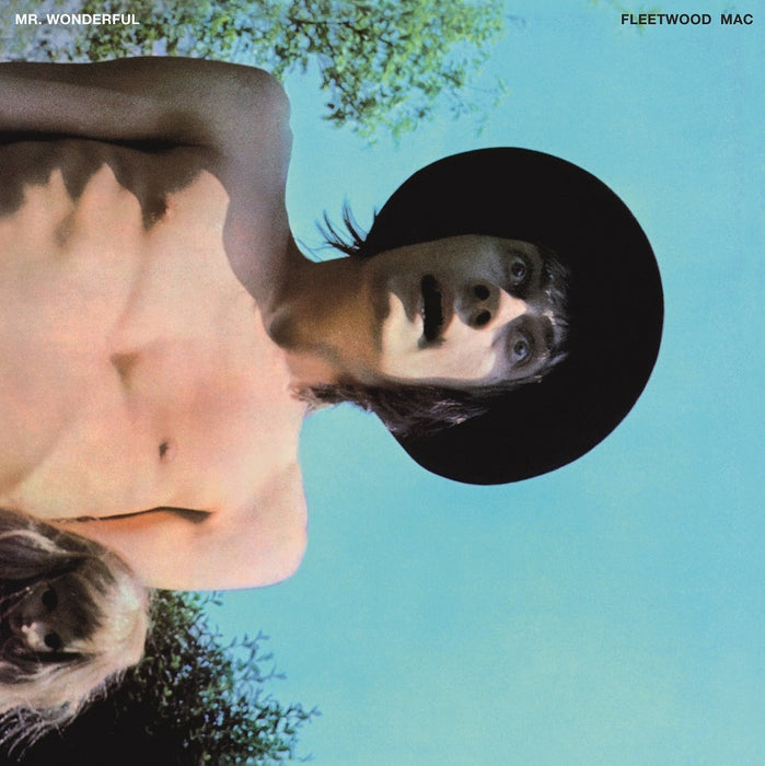 FLEETWOOD MAC MR WONDERFUL LP VINYL 33RPM NEW
