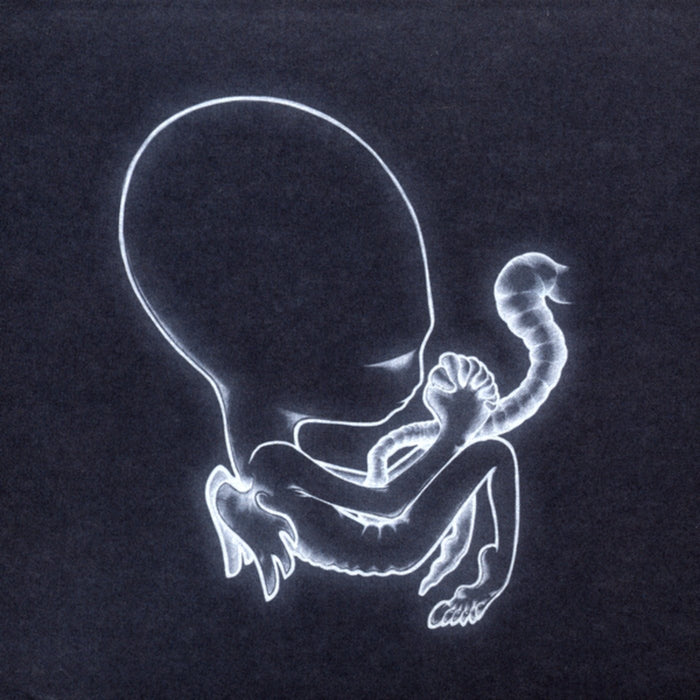 SIGUR ROS Agetis Byrjun Double 12" LP Vinyl NEW 2015