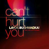 Layo & Bushwacka Can'T Hurt You feat Kim Ann Foxman Remixes 12'' Single Vinyl