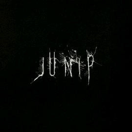 Junip Junip Vinyl LP City Slang World Country 2023