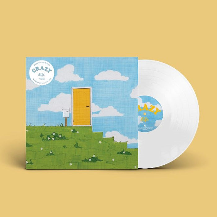 Anna of the North Crazy Life Vinyl LP 2023