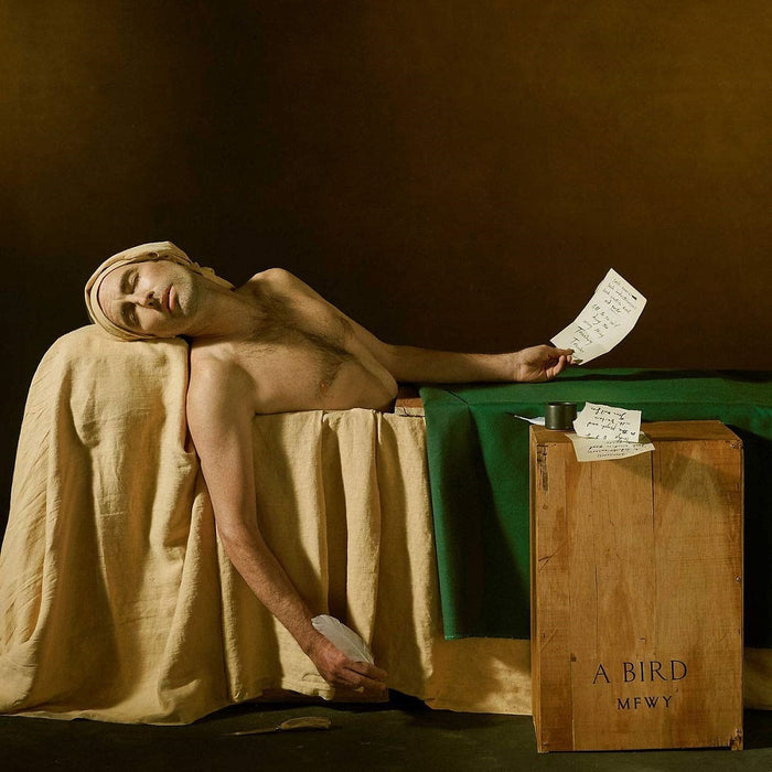 Andrew Bird My Finest Work Yet Vinyl LP 2019