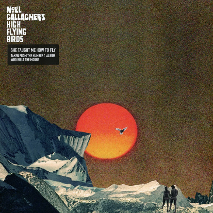 Noel Gallagher's High Flying Birds She Taught Me How To Fly Ltd Blue 12" Vinyl Single 2018